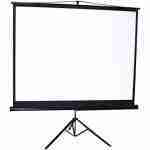 I-VIEW 150x150 tripod projector screen extended fully on its steel stand in a bright office boardroom